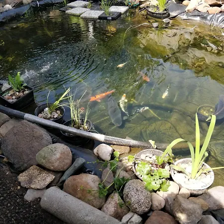 Gaestehaus Am Teich Raben Steinfeld Buitenkant foto