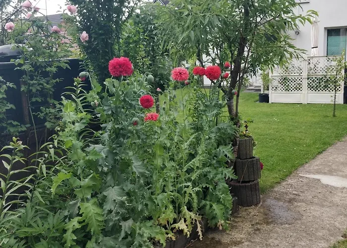 Gaestehaus Am Teich