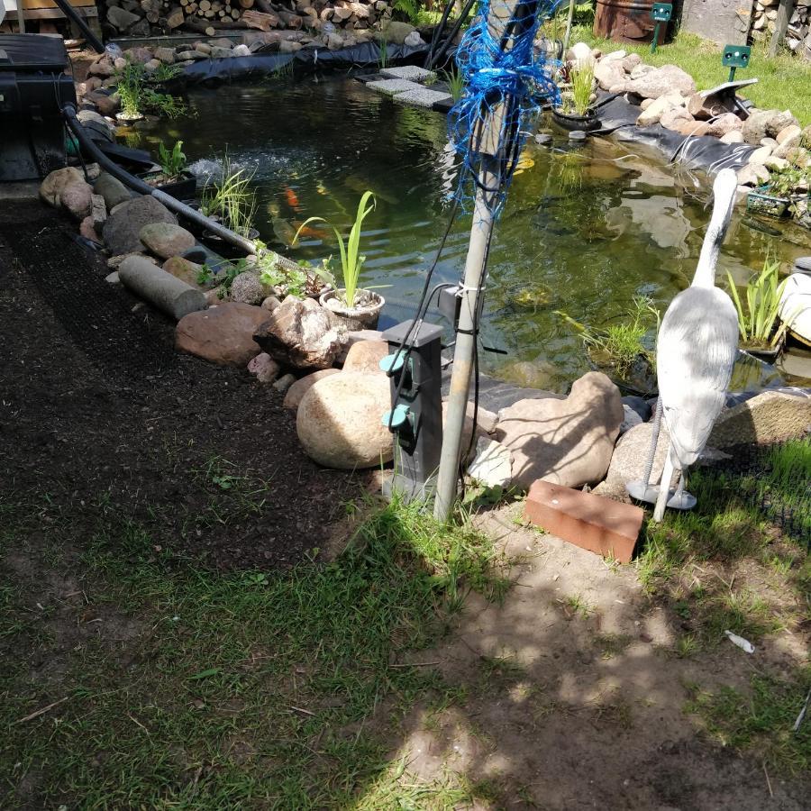 Apartment Gaestehaus Am Teich Raben Steinfeld