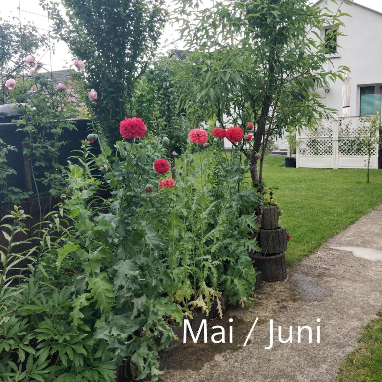 Apartment Gaestehaus Am Teich *